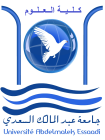 FS Tétouan - Présentation