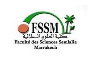 FSSM logo