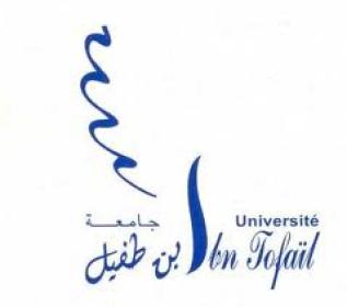 Universite Ibn Tofail