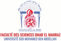 FS Fès Dhar El Mahraz - Présentation