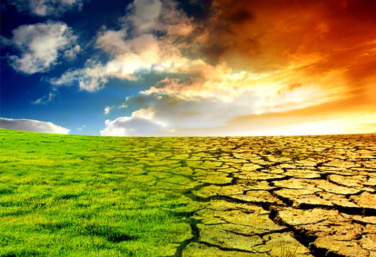 UIZ - Changements climatiques et les impacts et le lancement des activités du projet PRIMO
