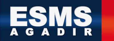 ESMS AGADIR - Présentation
