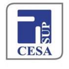 CESA Sup - Présentation