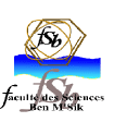 ENSA Berrechid Logo
