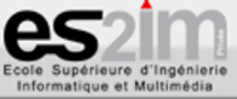 ES2IM - Présentation