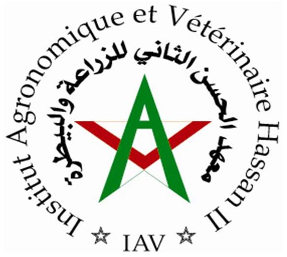 IAV HASSAN II