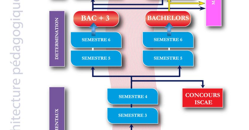 ESMS: Filière Management des Entreprises