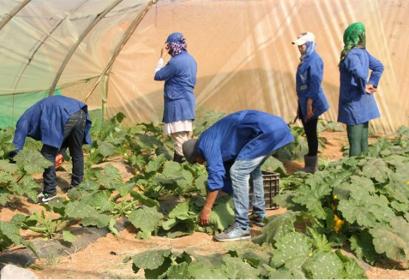 مباراة ولوج المعهد التقني الفلاحي بكلميم 2015