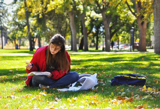 Changement d'orientation à l'université