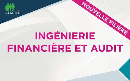 Groupe EMSI Lance l'Ingénierie Financière et Audit