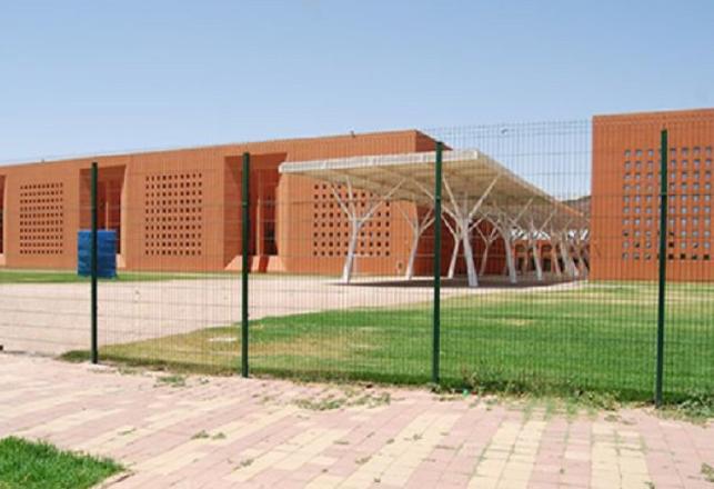 Université Mohammed VI Polytechnique