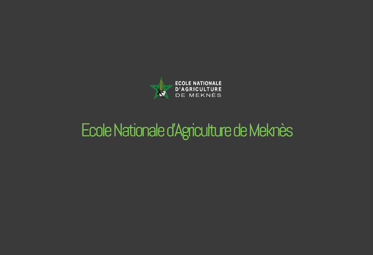 Seuil et résultats de présélection ENAM Meknès 2018