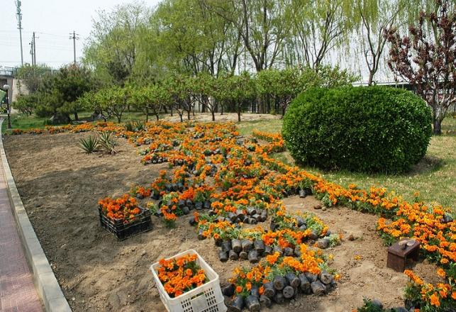 Concours technicien horticulture taounate 2019