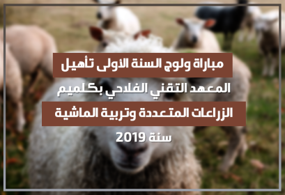 Concours 1ère année Qualification Institut Technique Agricole Guelmim 2019