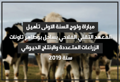 Concours 1ère année Qualification Institut Technique Agricole Sahel Boutaher Taounate 2019