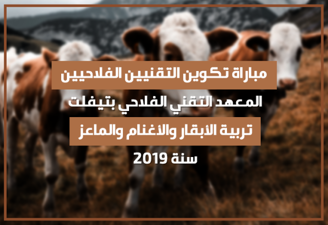 Concours Techniciens Agricoles Bovins Ovins Caprins Institut Technique Agricole Tiflet 2019