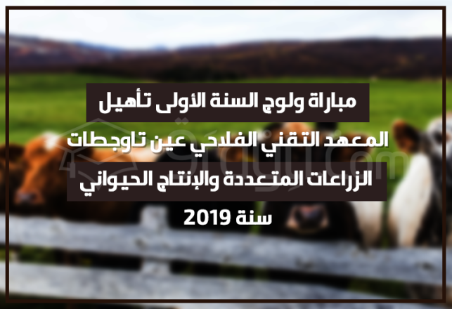 Concours 1ère année Qualification Institut Technique Agricole Ain Taoujdate 2019