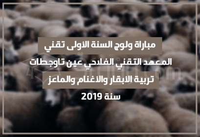 Concours 1ère année Technicien Elevage Bovins Ovins Caprins Institut Technique Agricole Ain Taoujdate 2019