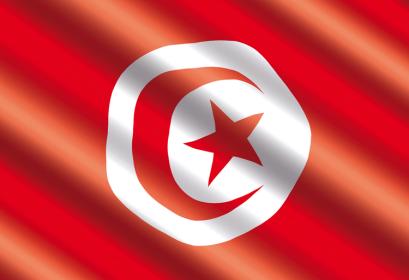 liste candidats retenus programme bourses études 1er cycle Tunisie 2019-2020