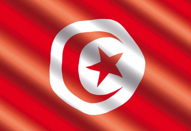 liste candidats retenus programme bourses études 1er cycle Tunisie 2019-2020