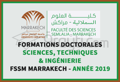 candidature formations doctorales Sciences, Techniques Ingénierie FSSM Marrakech 2019