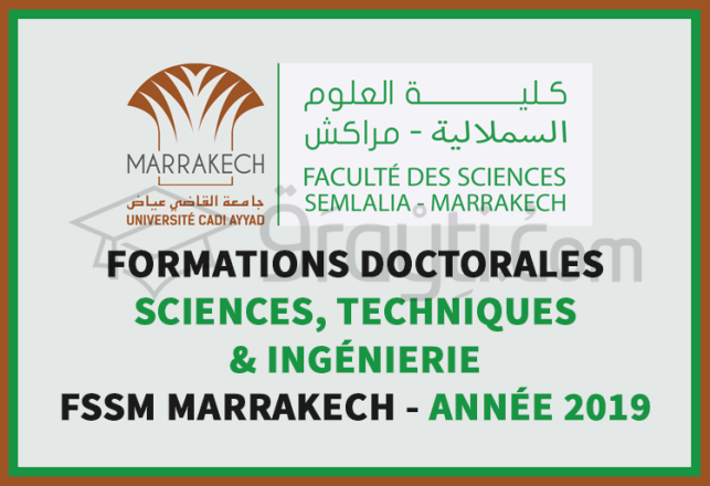 candidature formations doctorales Sciences, Techniques Ingénierie FSSM Marrakech 2019