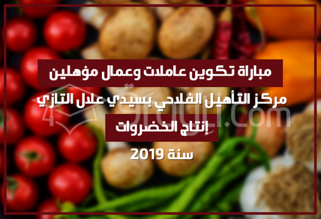 concours ouvriers maraîchage Centre Qualification Agricole Sidi Allal Tazi 2019