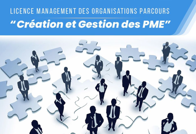 Licence Professionnelle Management Organisations FSJES Ain Chock Casablanca 2020