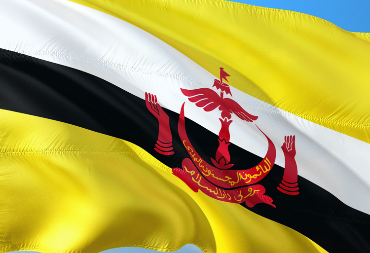 bourses études cycles Licence Master Brunei Darussalam 2021-2022