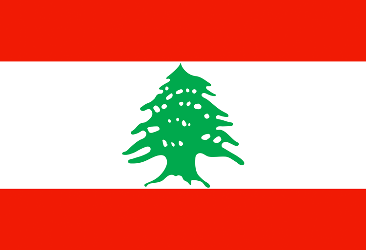 bourses études cycle Master universités américaines Liban 2021-2022