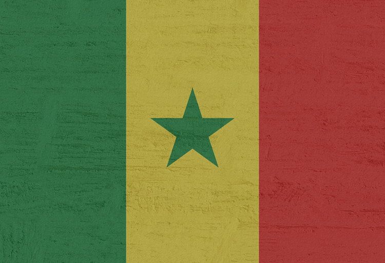 bourses études premier cycle Sénégal 2021-2022
