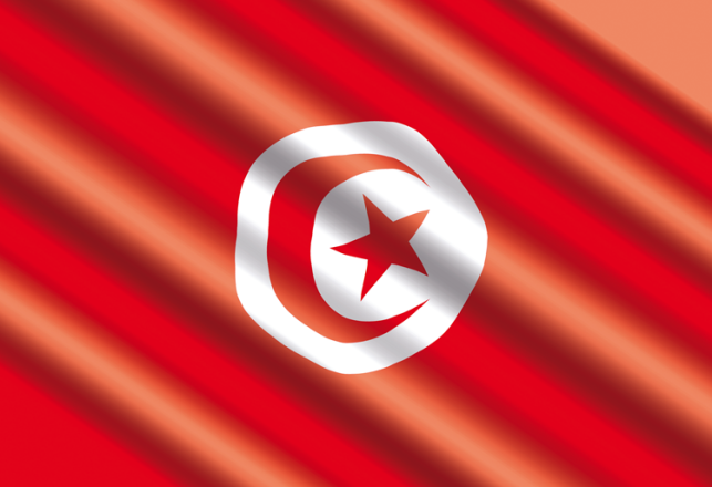 bourses études premier cycle bacheliers Tunisie 2023-2024