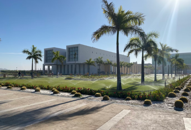 Université Egypte-Japon Bourses Master doctorat 2024-2025