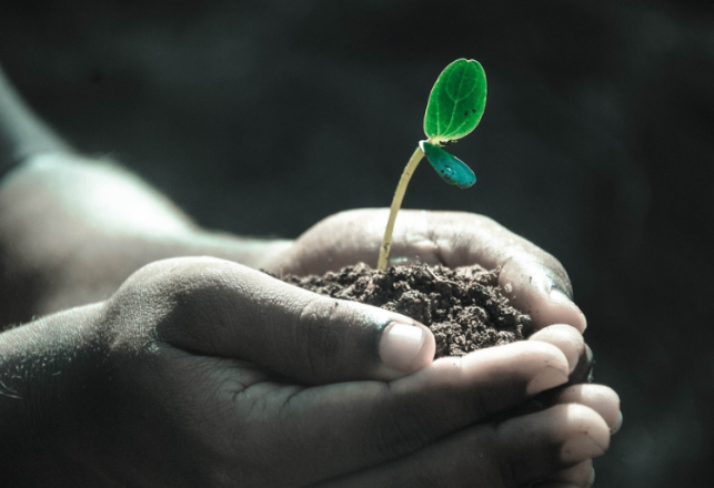 Concours Technicien Institut Technique Agricole Sahel Boutaher 2024-2025