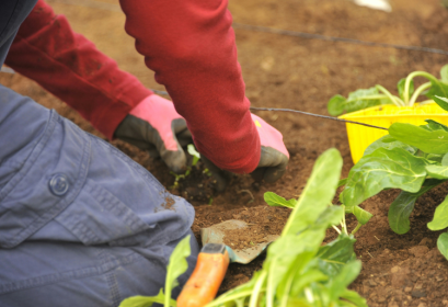 Concours Technicien Spécialisé Institut Technique Agricole Sahel Boutaher 2024-2025