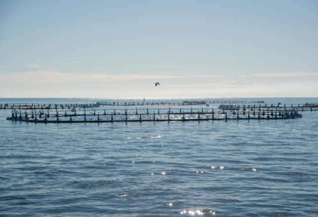 ITSHC Ait Melloul Concours technicien spécialisé 2024-2025