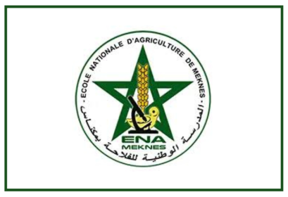 Résultats de présélection et seuils concours ENAM Meknès 2024-2025