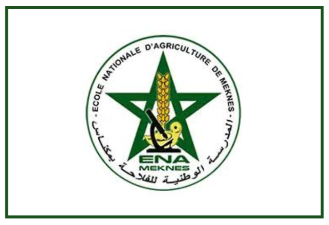 Résultats de présélection et seuils concours ENAM Meknès 2024-2025