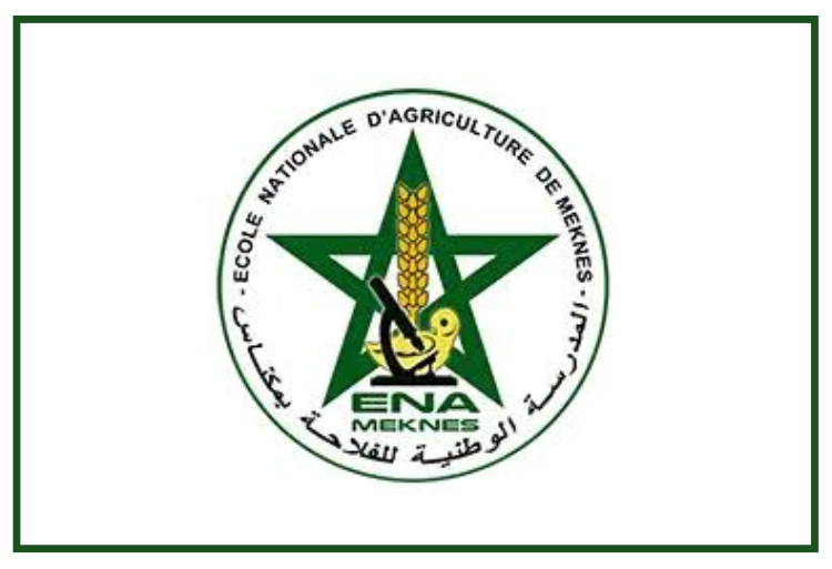 Résultats de présélection et seuils concours ENAM Meknès 2024-2025