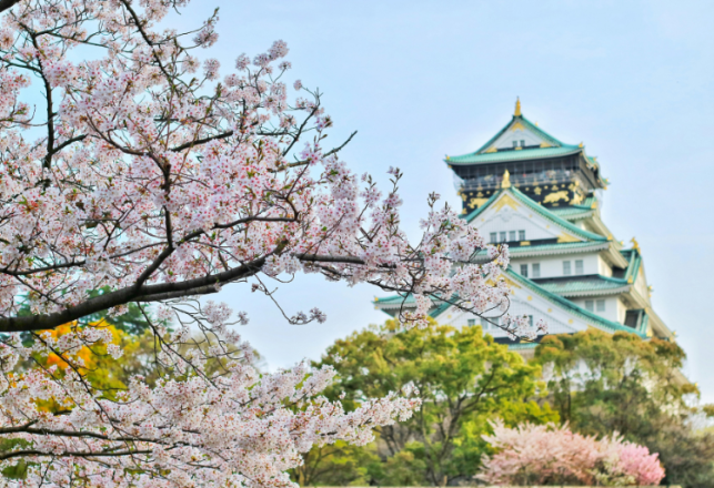 Initiative ABE Bourses d'études Japon pour étudiants marocains 2025-2026