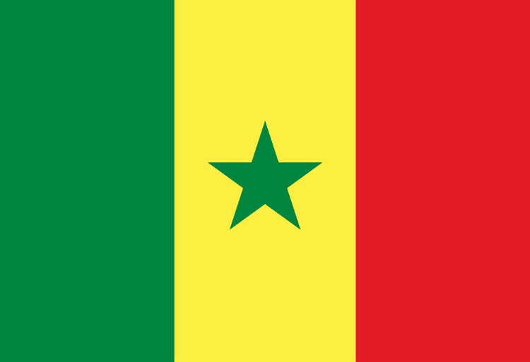 150 bourses d'études au Sénégal pour les étudiants marocains en 2024-2025