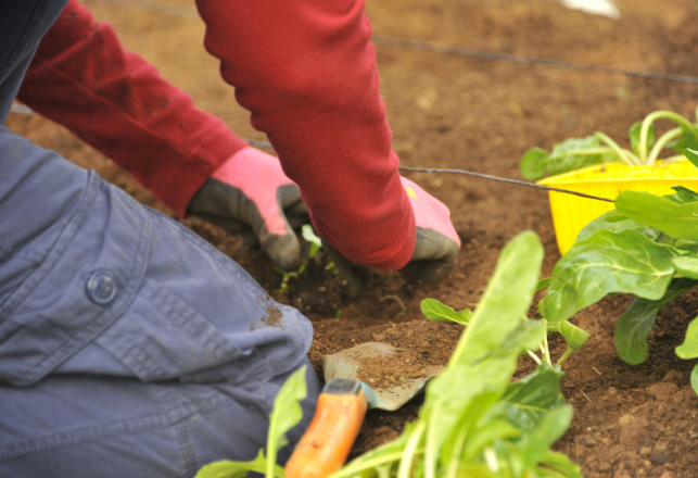 Concours Centre de Qualification Agricole Oulmès 2025-2026