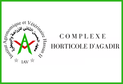 Concours Technicien Spécialisé CHA Agadir 2025-2026
