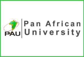 Université Panafricaine Bourses de Master 2026-2027