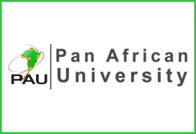 Université Panafricaine Bourses de Master 2026-2027
